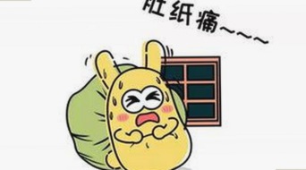 谢娜娱乐圈风波揭秘:真相与争议并存